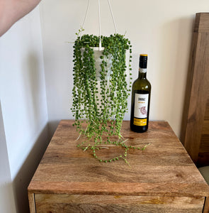60cm String of Pearls