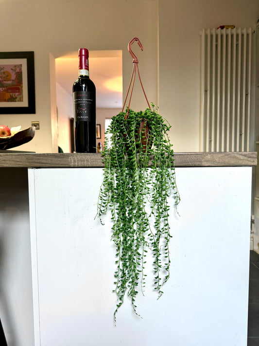 60cm Teardrop String of Pearls