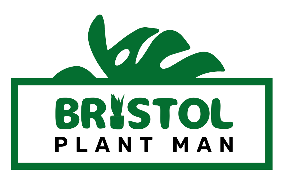 Plant Delivery in Bristol Bristol Plant Man