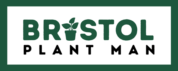 Bristol Plant Man